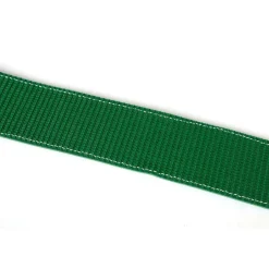 Auto transport spanband 250 cm - 5000 kg