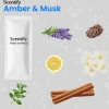 Autoparfum Inclusief 6 Geuren - Luchtverfrisser
