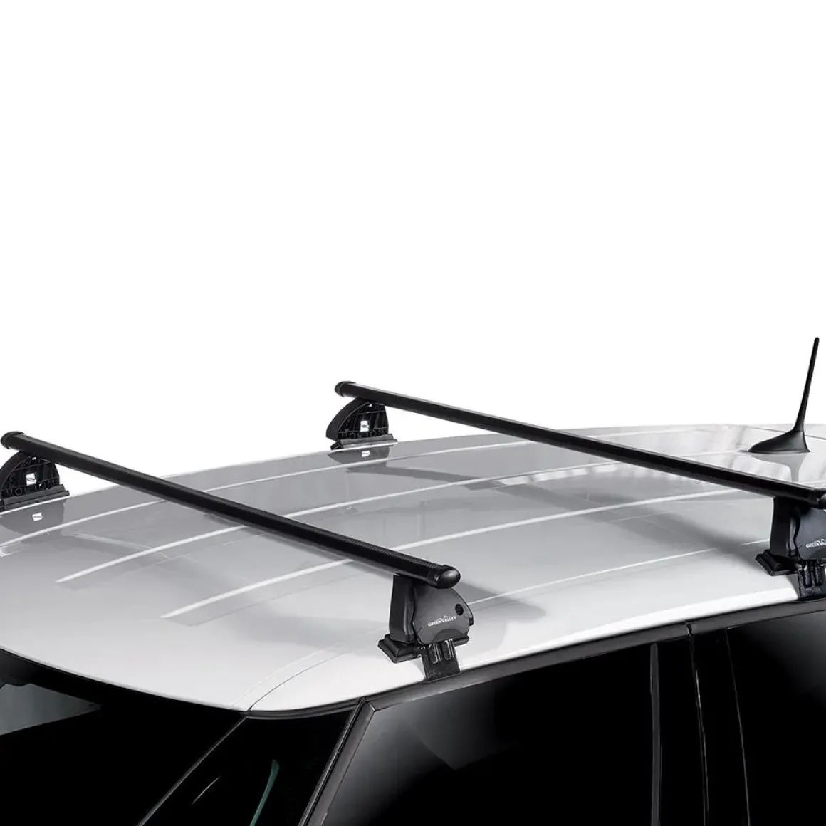 Dakdragers Cupra Tavascan 2024>
