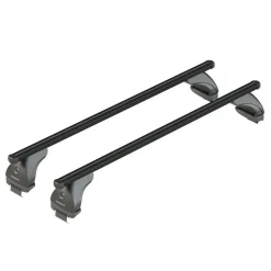 Dakdragers Ford C-Max - 2010 - 2020