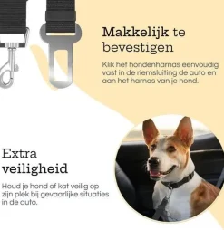 Hondengordel voor Auto - 2 stuks - Zwart
