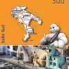 wegenkaart Regional 564 Italië – zuid